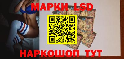 стафф Камышлов
