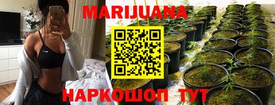стафф Камышлов