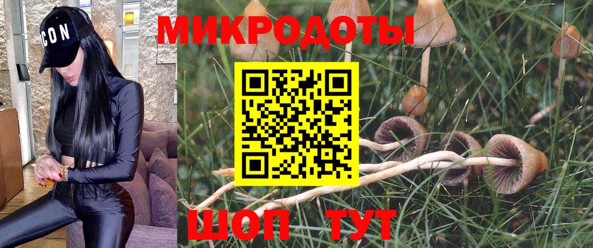 наркота  Вход с VPN  Усинск  Псилоцибиновые грибы Cubensis 
