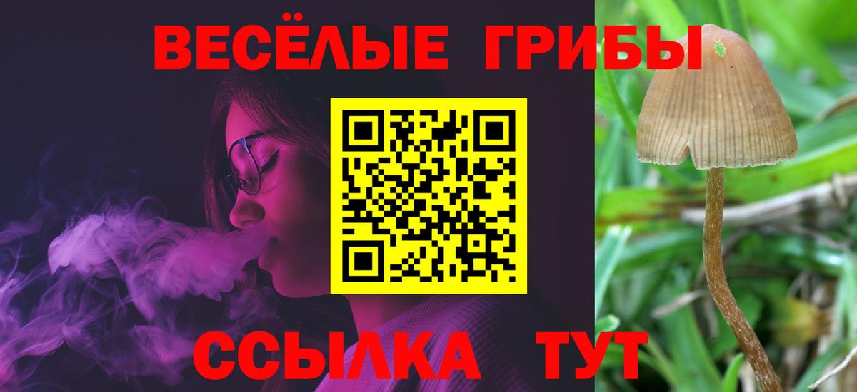 Галлюциногенные грибы мухоморы Усинск